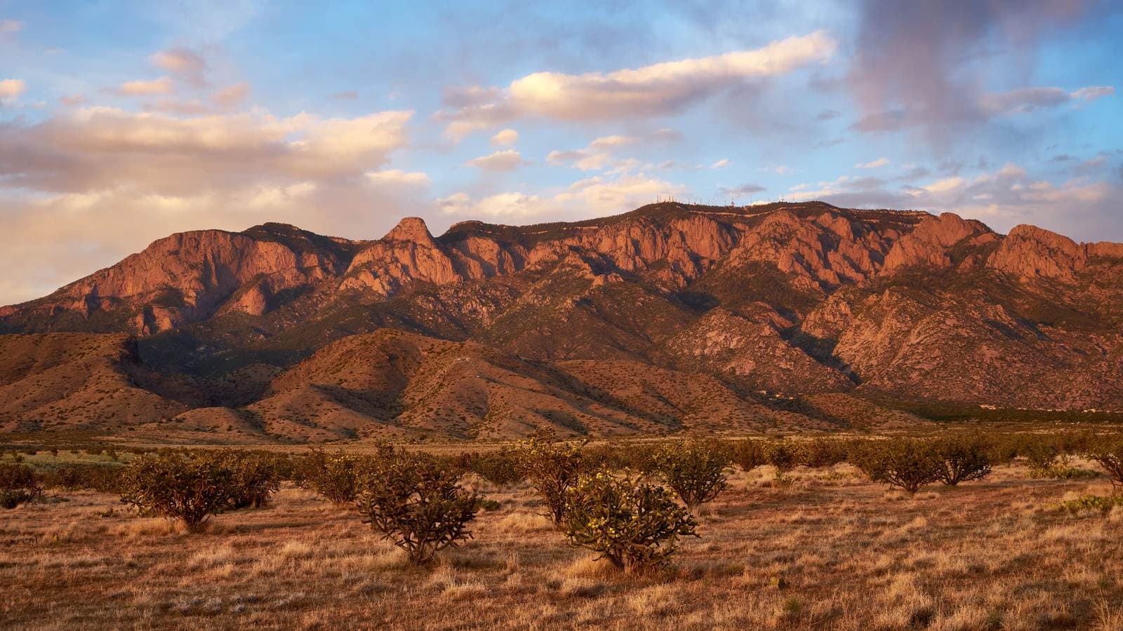 Sandia Mountains in magenta alpenglow over the Albuquerque high desert